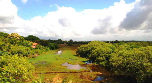 Peacock Land, Забронировать Отель Бизнес-отели Тангаллы, рядом с Tangalle Lagoon, 4* 5*