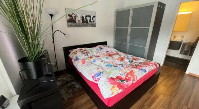 Studio Flims, Book Hotel Flims 