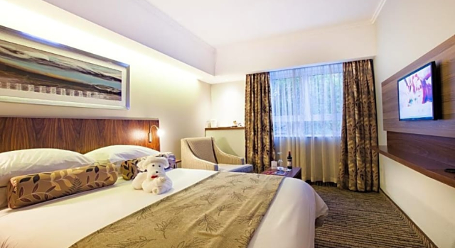 Номер Standard City Lodge Hotel Pinelands