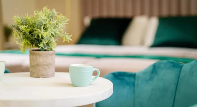 Двухместная студия Deluxe Oisife Apartments