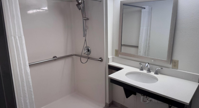 Двухместный номер Standard La Quinta Inn & Suites by Wyndham Downtown Asheville