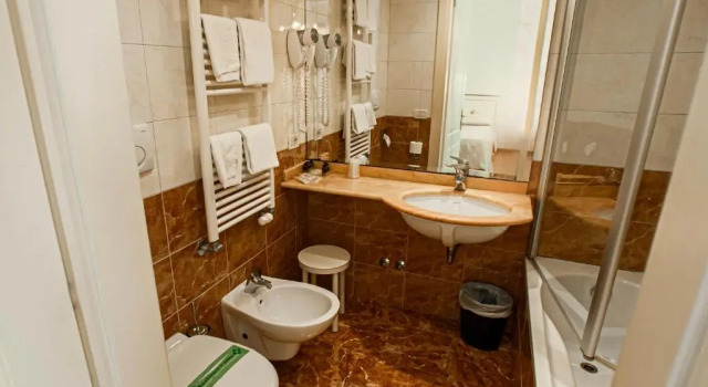 Трёхместный номер Standard Viktoria Palace Hotel
