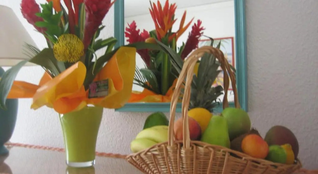 Studio Studio 23 Orient Bay