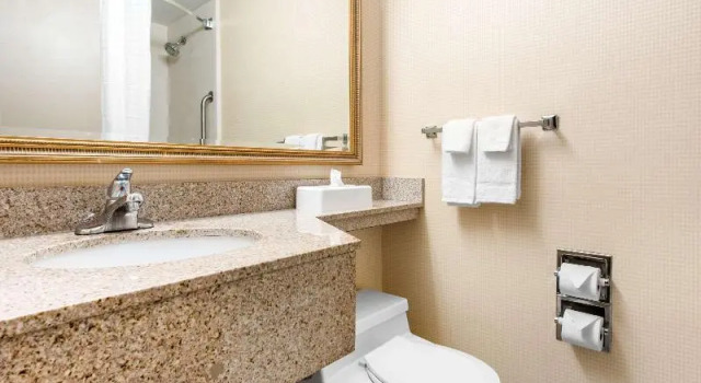 Номер Standard Quality Inn & Suites Charleston - Civic Center