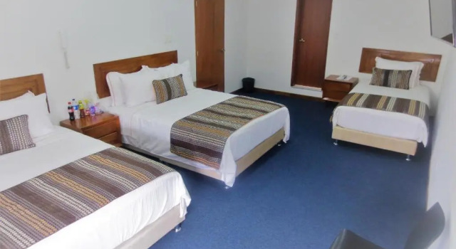 Номер Deluxe Hotel Estación Sabana