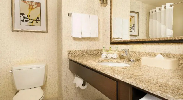 Люкс Standard Holiday Inn Express & Suites Alexandria - Fort Belvoir by IHG