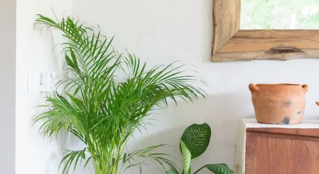 Casa Marisol 2BR Tulum Spirit - Attha Cenote, Rezervovat Hotel Hotely v Tulum s parkováním, Parkování