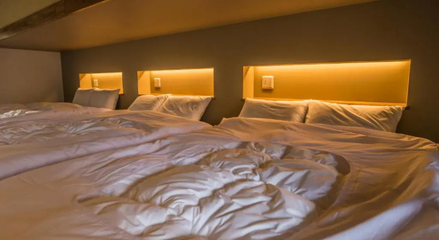 Люкс WPÜ HOTEL HAKONE