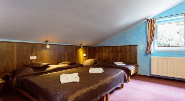Трёхместный номер Superior Hotel Karlštejn & SPA