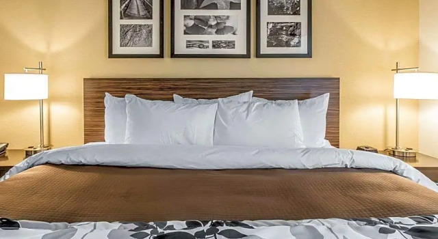 Четырёхместный люкс Sleep Inn & Suites Jasper I-22