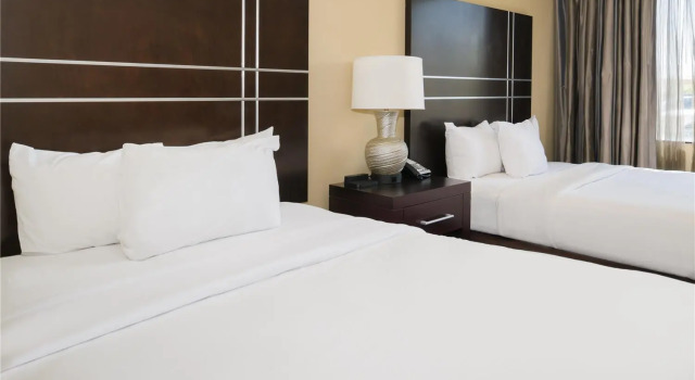 Люкс Embassy Suites by Hilton St Louis Airport