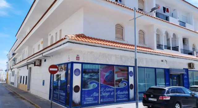 2 bedrooms appartement with city view furnished terrace and wifi at Barbate