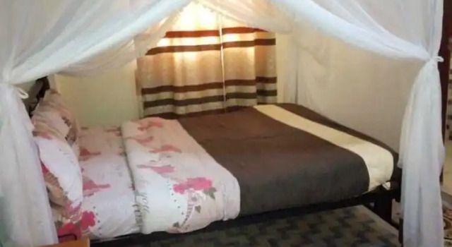 Номер Standard Toll View Apartments