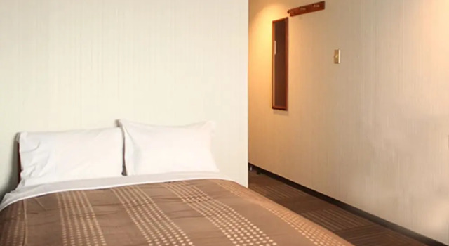 Номер Deluxe HOTEL LiVEMAX BUDGET Tokyo Hamura Ekimae