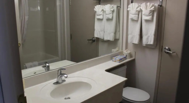 Номер Superior Divya Sutra Plaza and Conference Centre Calgary Airport