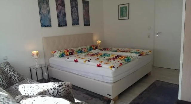 Номер Superior Loft Nagoldtal