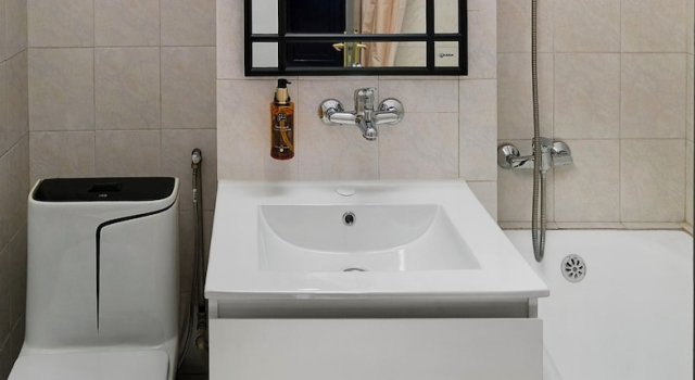 Studio Lapusneanu Central Apartments