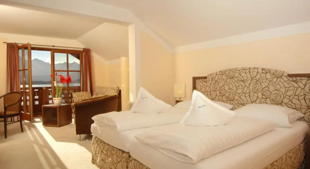 Номер Standard Hotel Geiger