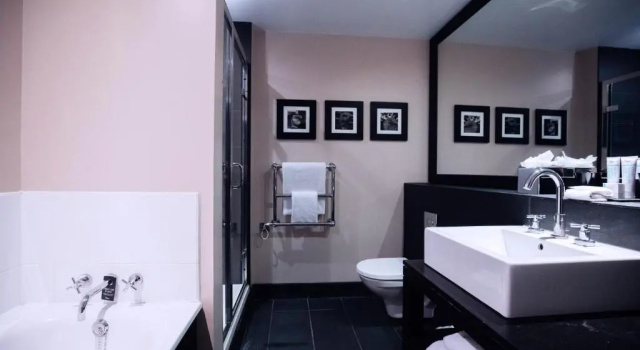 Standard Kahden hengen huone Malmaison Reading