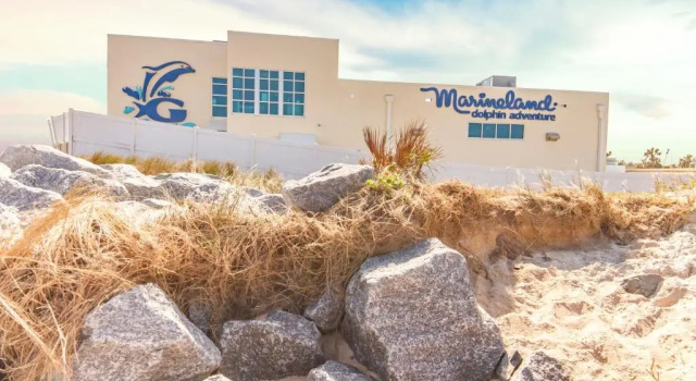 Surfside Six E, 2 Bedrooms, Ocean Front, Sleeps 6, Wireless Internet