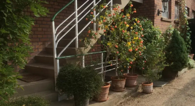 Апартаменты с 2 комнатами с балконом Ferienwohnung Haumannshof