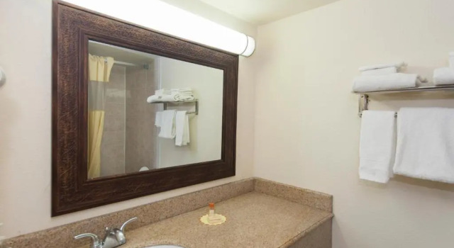 Двухместный люкс Executive Days Inn & Suites by Wyndham Laredo