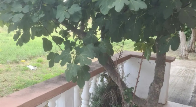 Студия Apartments Rubbi