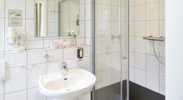 Двухместный номер Economy Schwanenhof Hotel und Restaurant