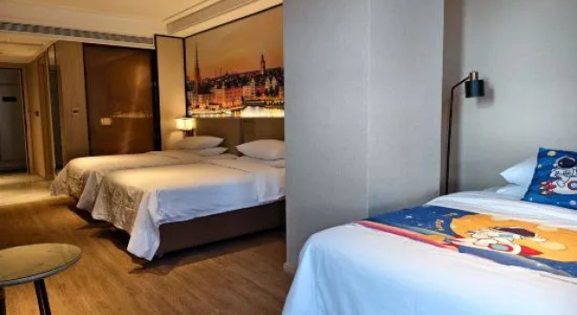Люкс Standard Vienna International Hotel (Jinan International Airport Branch)