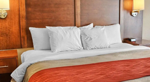 Номер Standard Comfort Inn Ruther Glen near Kings Dominion