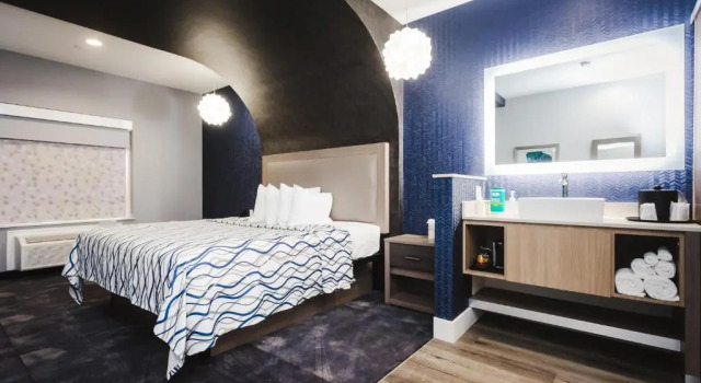 Двухместный номер Deluxe Palace Inn Blue Houston East Beltway 8