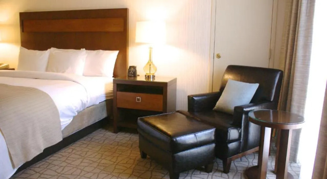 Двухместный номер Standard DoubleTree by Hilton Pittsburgh-Green Tree