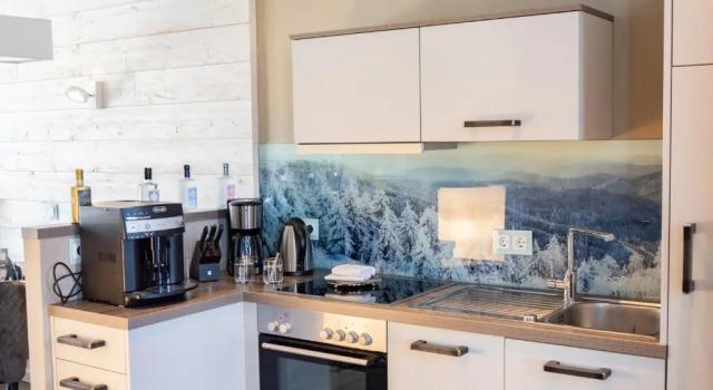 Апартаменты Дуплекс StrandBergs Stadt Chalet