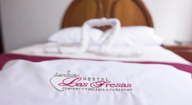 Номер Deluxe Hostal Las Fresas Lima Airport