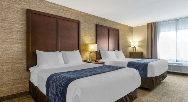 Четырёхместный номер Standard Comfort Inn & Suites Ludington near US-10