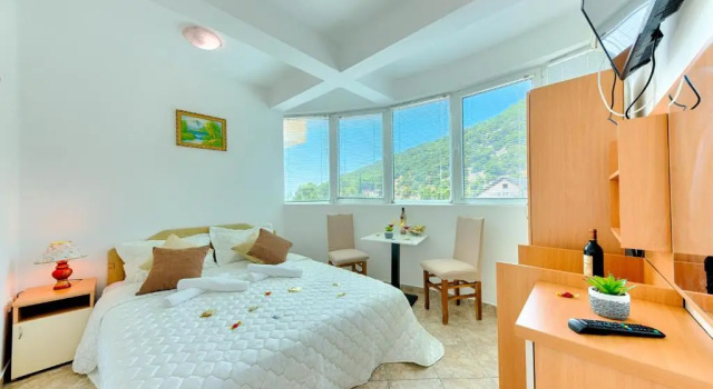 Двухместный номер Standard HOTEL DANA