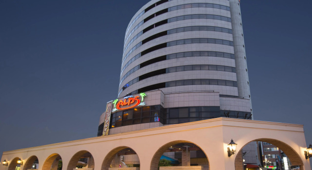 Hotel Alps