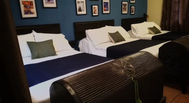 7 orejas hotel