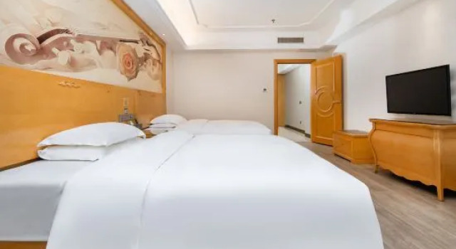 Двухместный люкс Deluxe Bincheng International Hotel