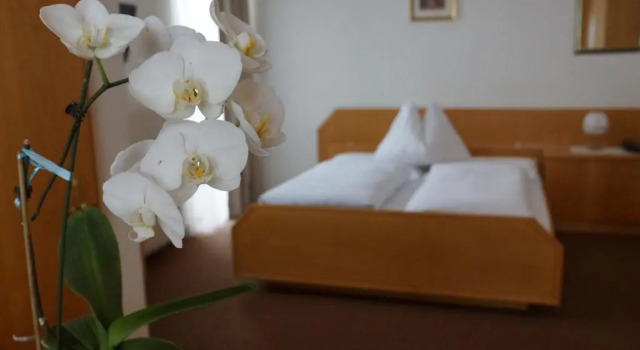 Четырёхместный номер Standard Hotel Mooserhof