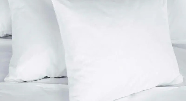 Номер Classic Blue Mist Motel Florence