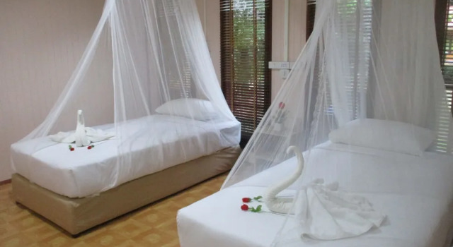 Номер Economy Khao Sok Island Resort and Spa