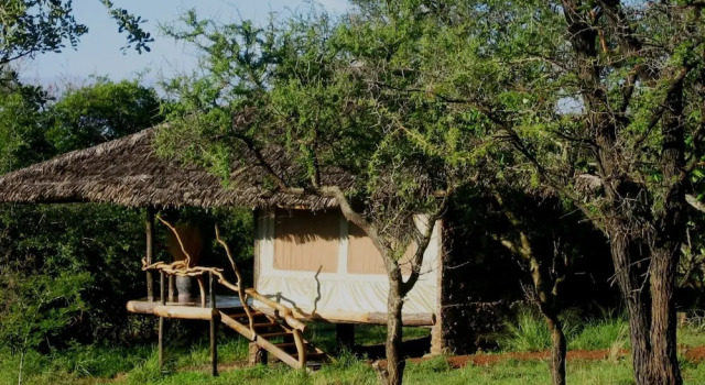 Тент с видом на сад Mbalageti Serengeti