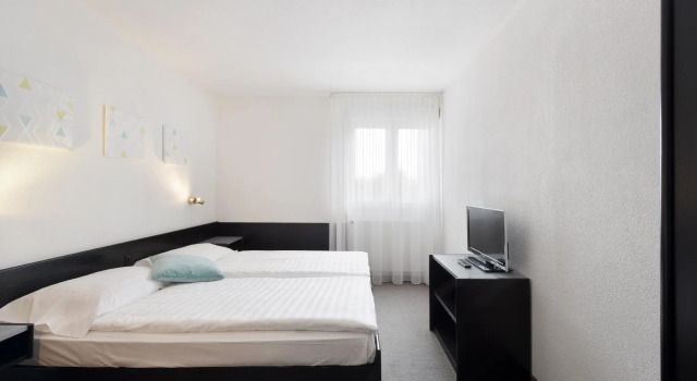 Двухместный номер Standard Hôtel des Mosaiques