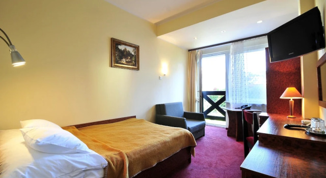 Одноместный номер Standard Hotel Continental