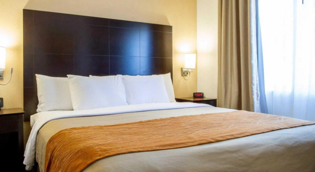 Номер Standard Comfort Inn & Suites Paw Paw