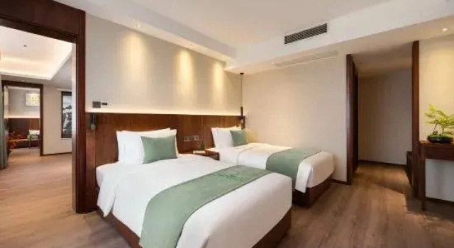 Люкс Deluxe Meishan Hotel (Sansu Temple Wanda Plaza Branch)