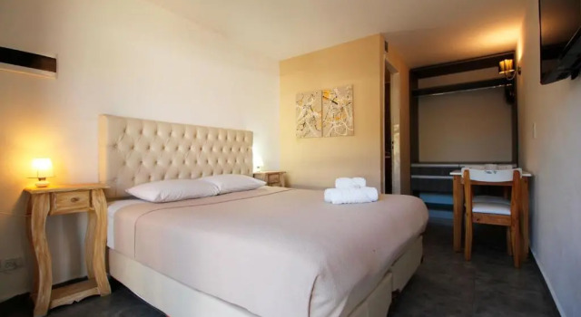 Двухместный номер Premium Puerto Tigre