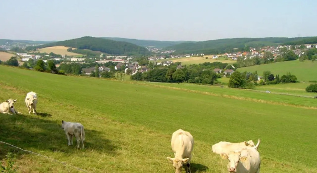Коттедж Landhaus Panorama