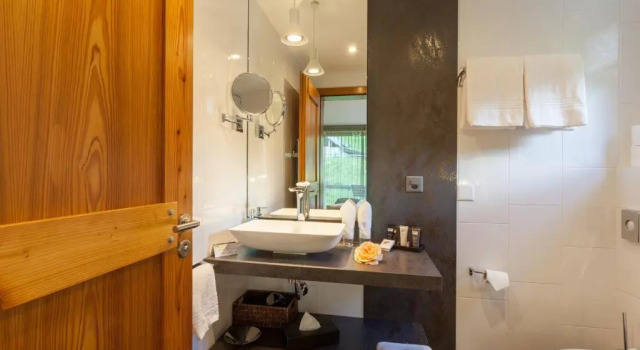 Номер Standard Suitenhotel Zurbriggen